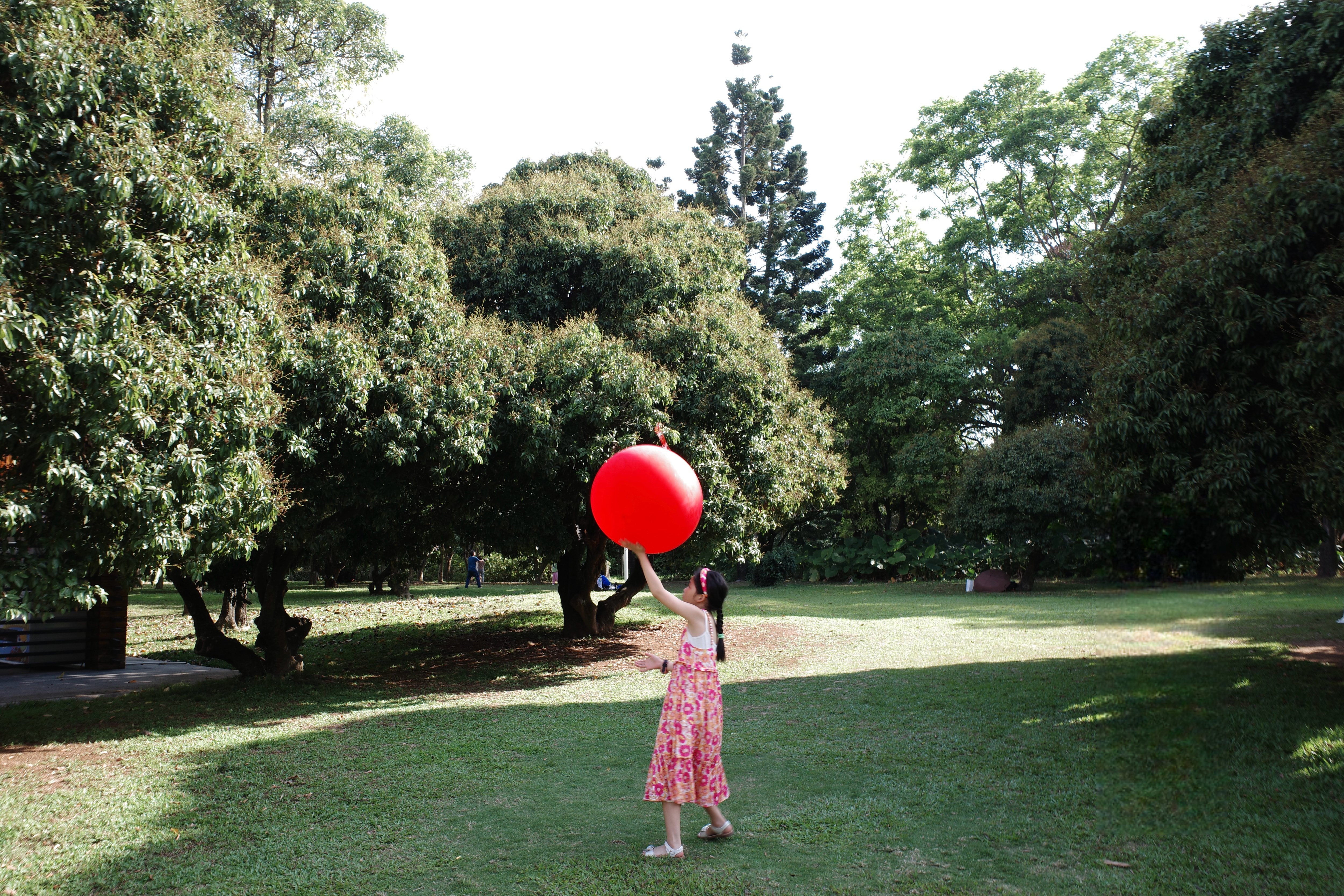 Walking Around Shenzhen And Hong Kong